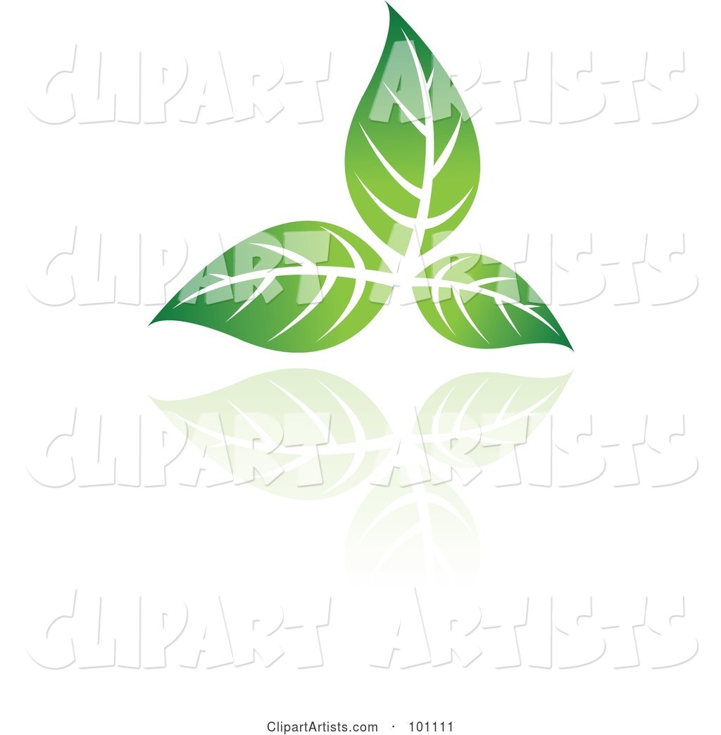 Green Leaf Logo Icon - 1