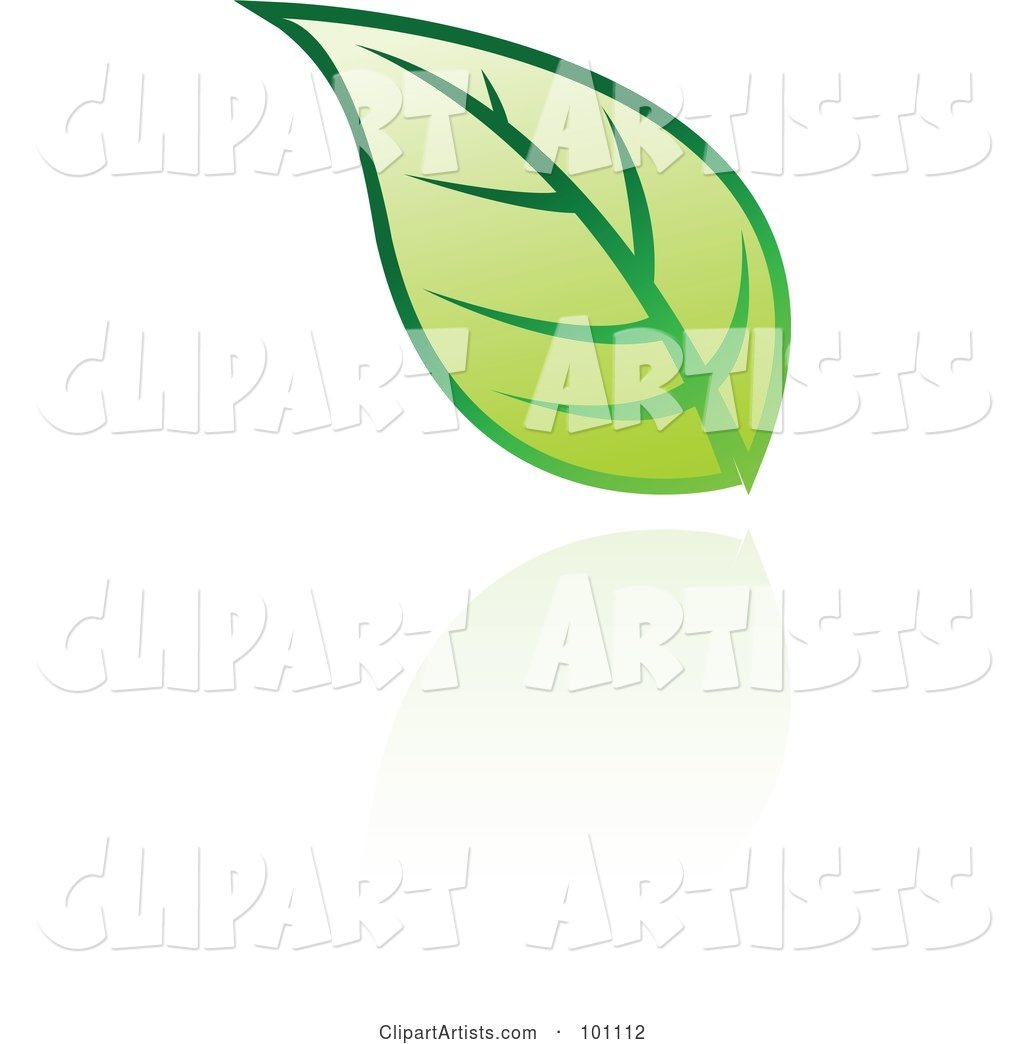 Green Leaf Logo Icon - 8