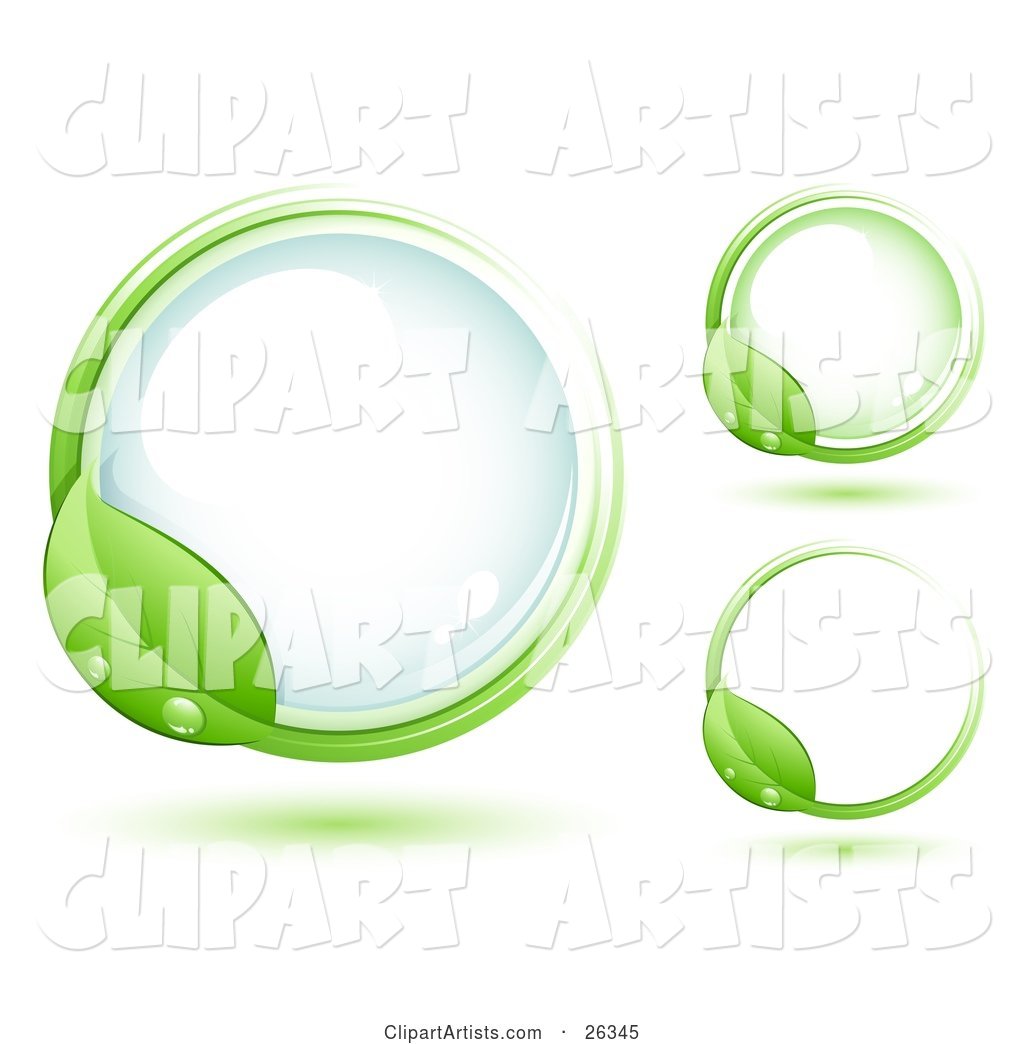 Green Leaf Wet with Dew, Circling Around a Blue Glass Orb, Including Two Other Versions