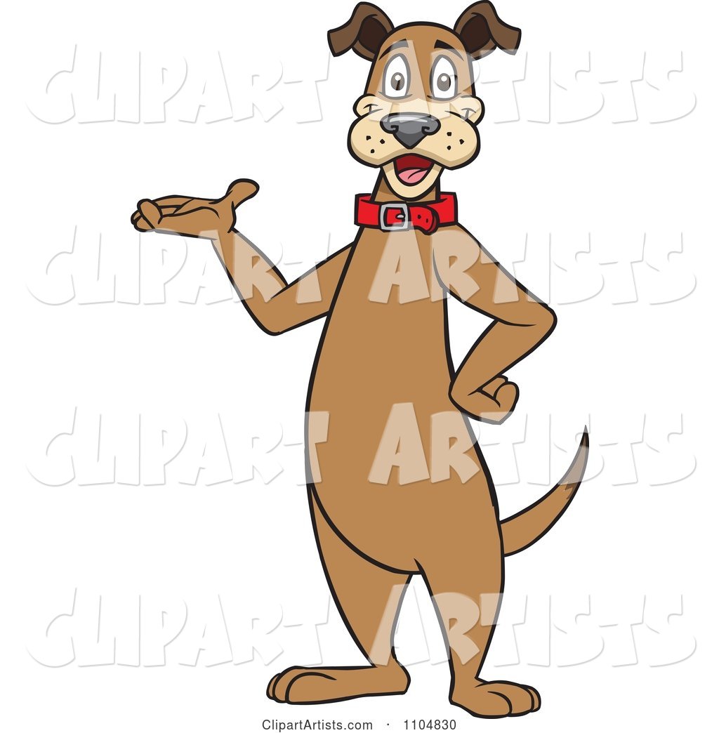 Happy Brown Dog Standing Upright and Presenting