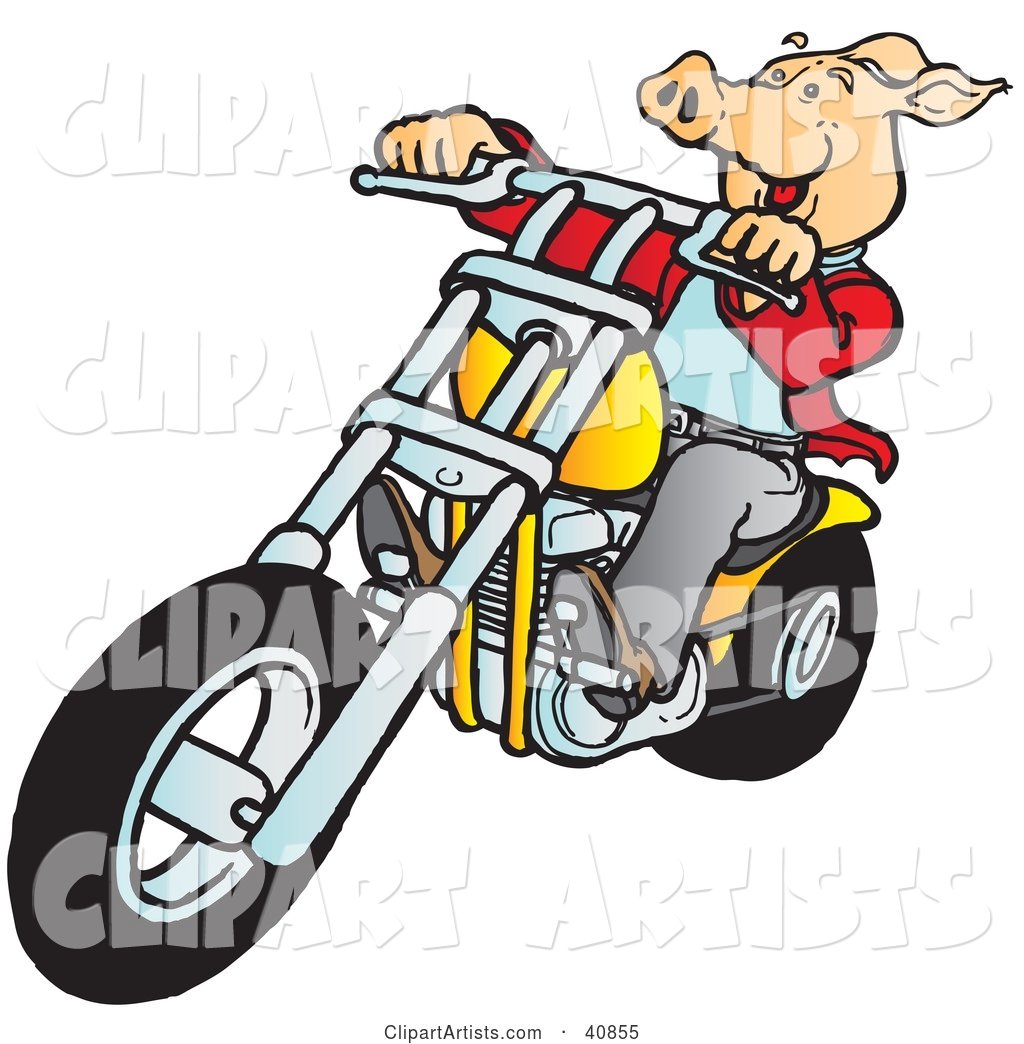 Happy Hog Riding a Yellow Chopper