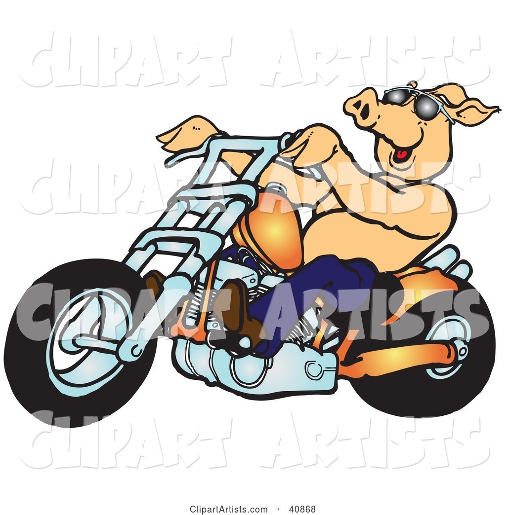 Happy Shirtless Pig in Shades, Riding an Orange Chopper