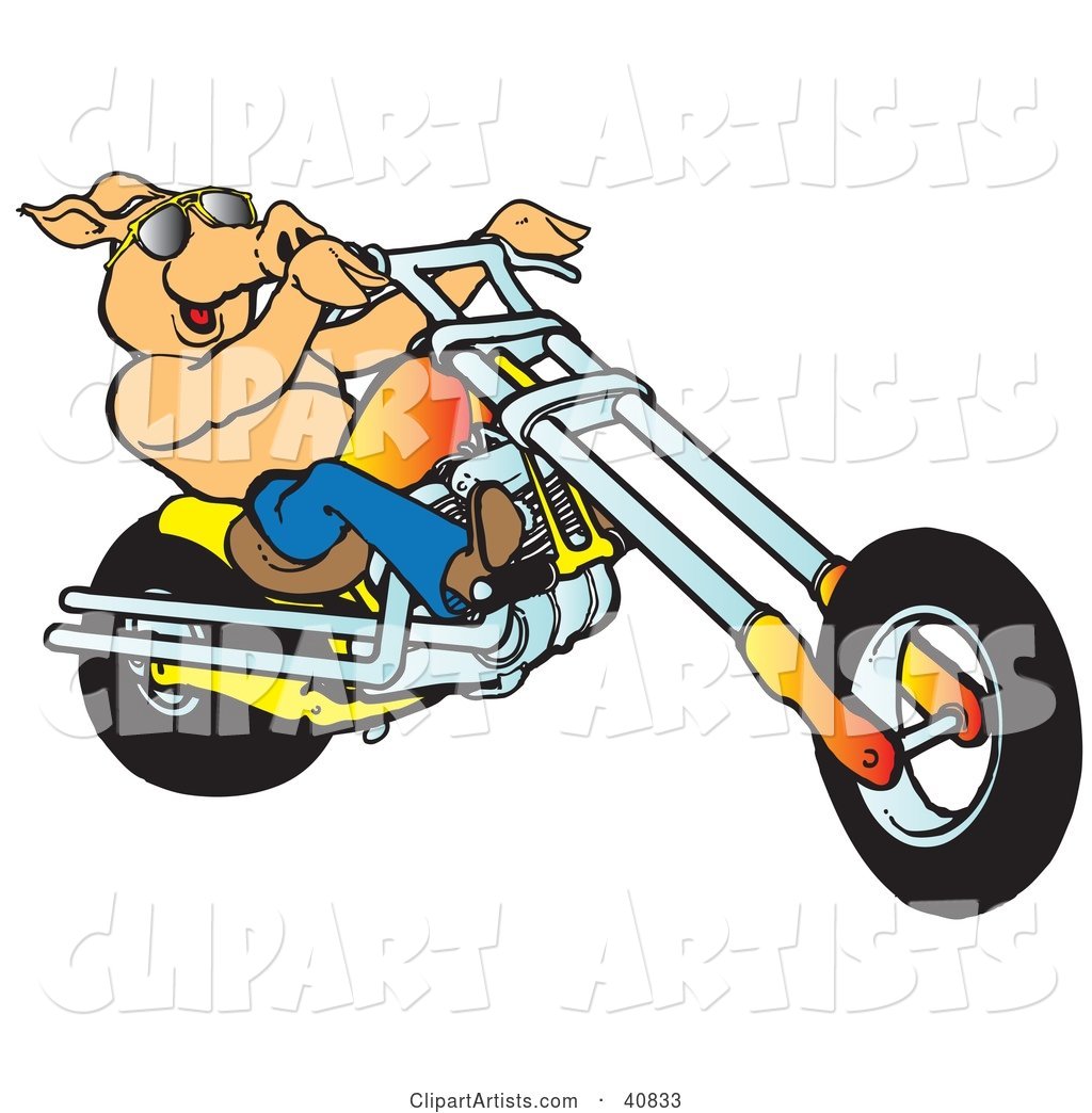 Happy Shirtless Pig in Sunglasses, Riding an Orange Chopper