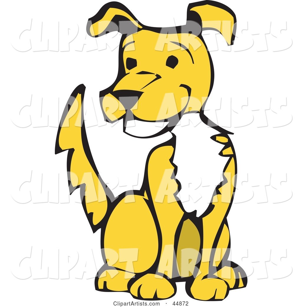Happy Yellow Dog with a White Chest, Sitting and Wagging His Tail