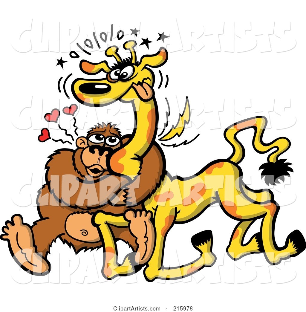 Infatuated Gorilla Hugging a Giraffe