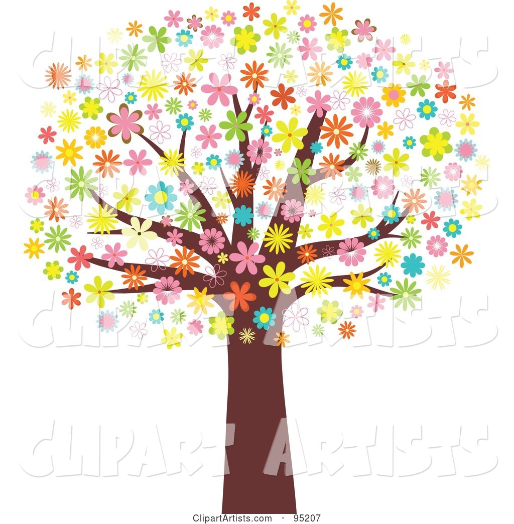 Mature Tree with an Umbrella of Blossoming Flowers