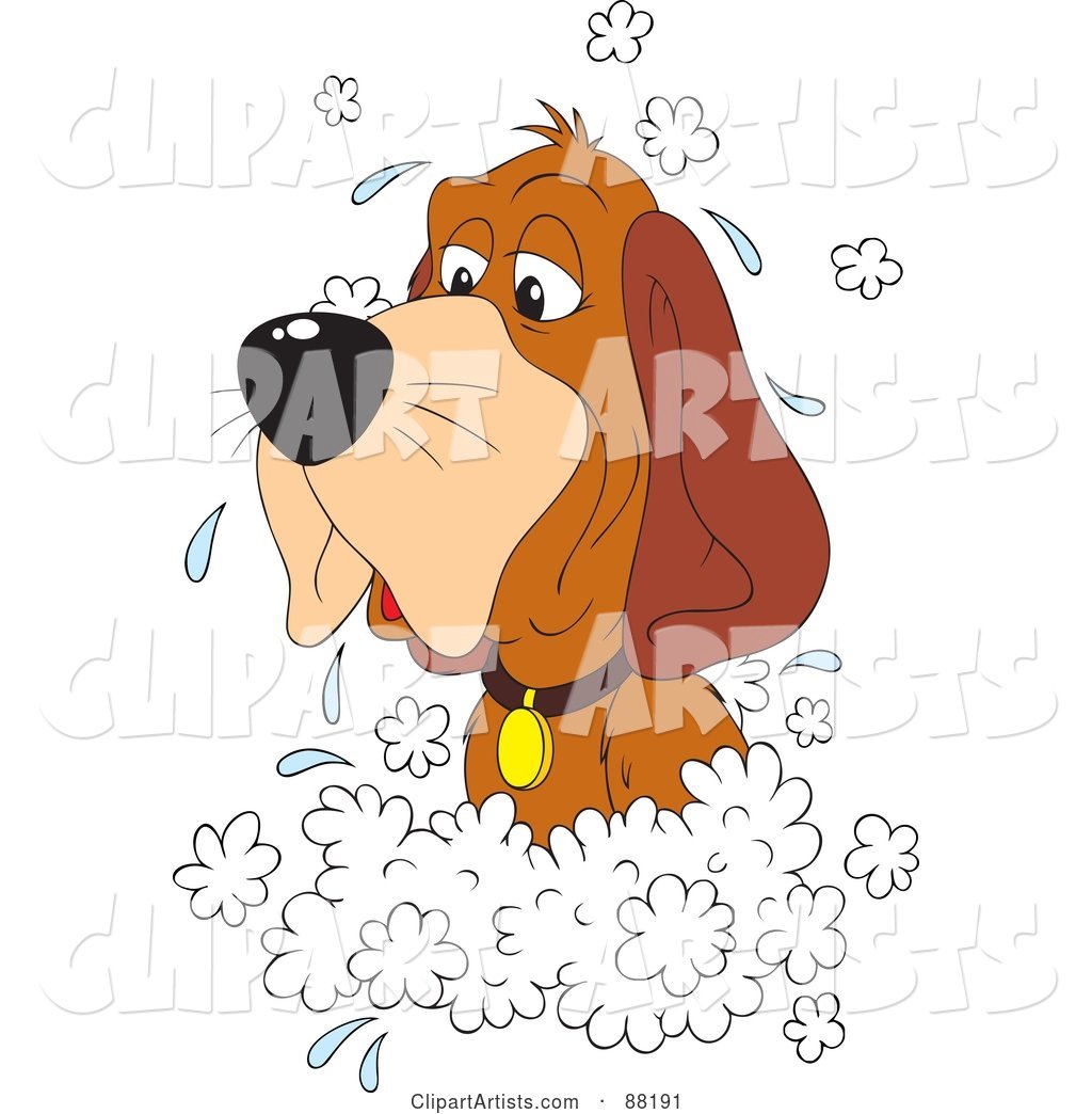 Old Hound Dog in a Sudsy Bath