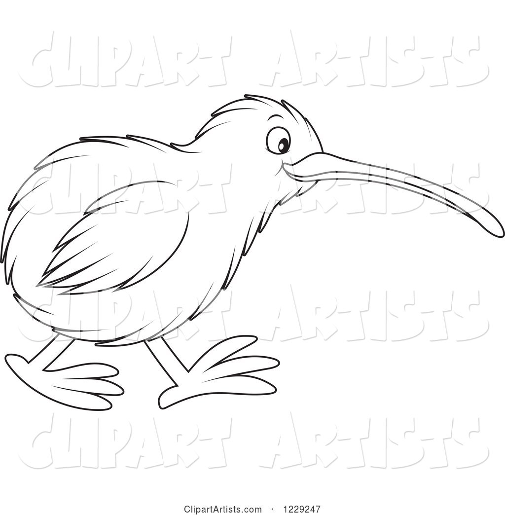 Outlined Cute Kiwi Bird
