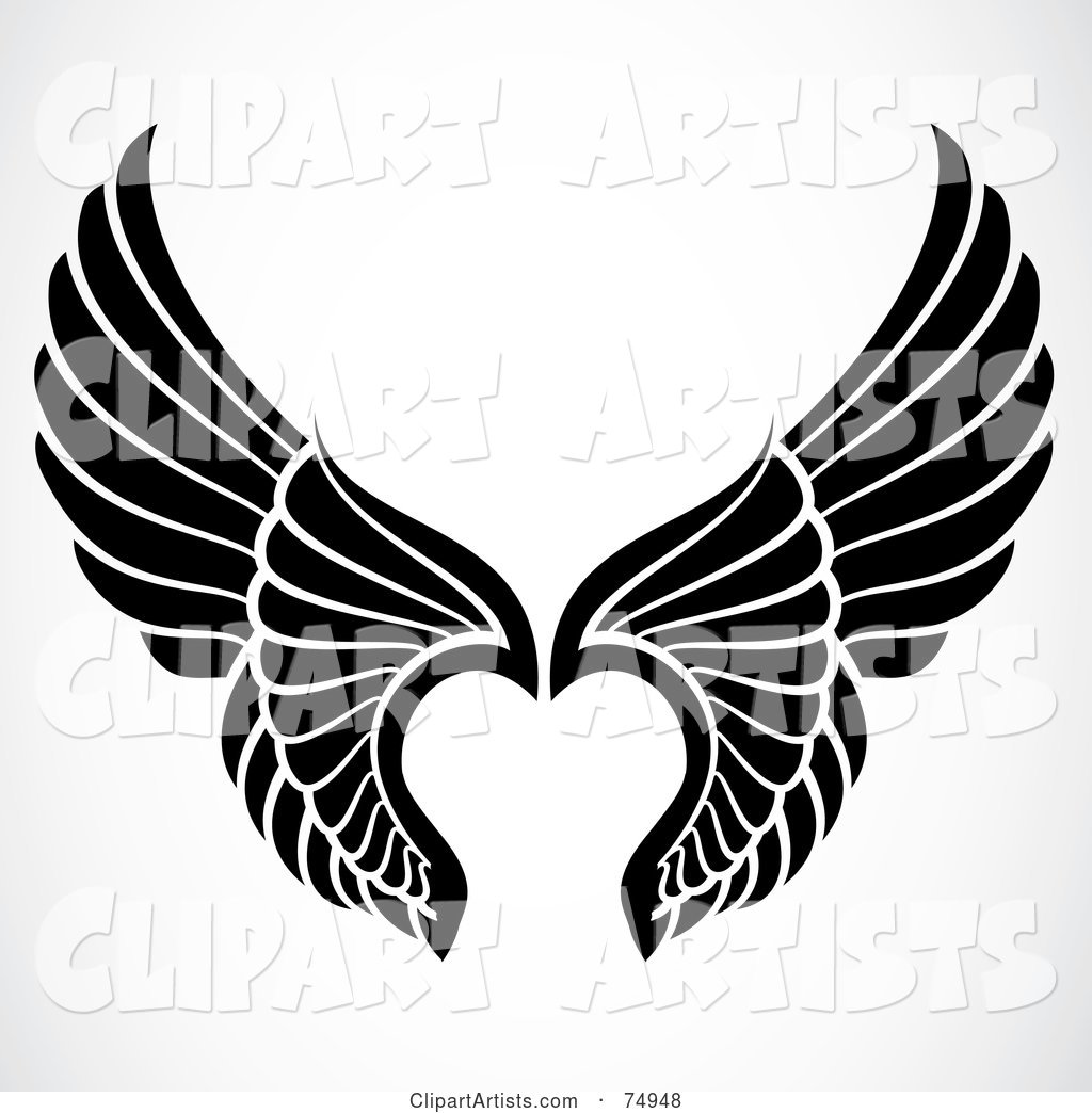 Pair of Black and White Elegant Angel Wings