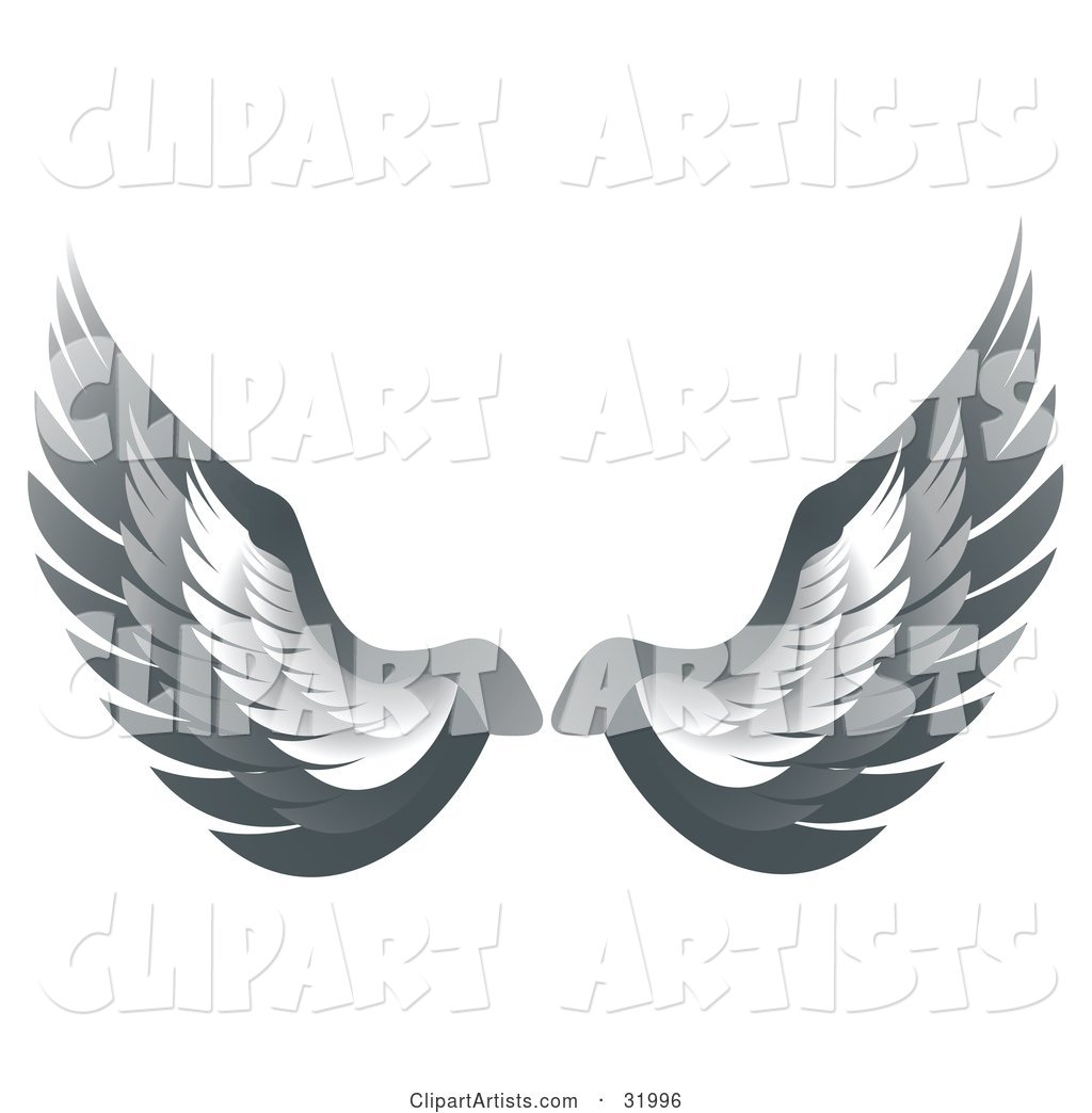 Pair of Gray Bird or Angel Wings, Symbolizing Faith or Freedom, on a White Background