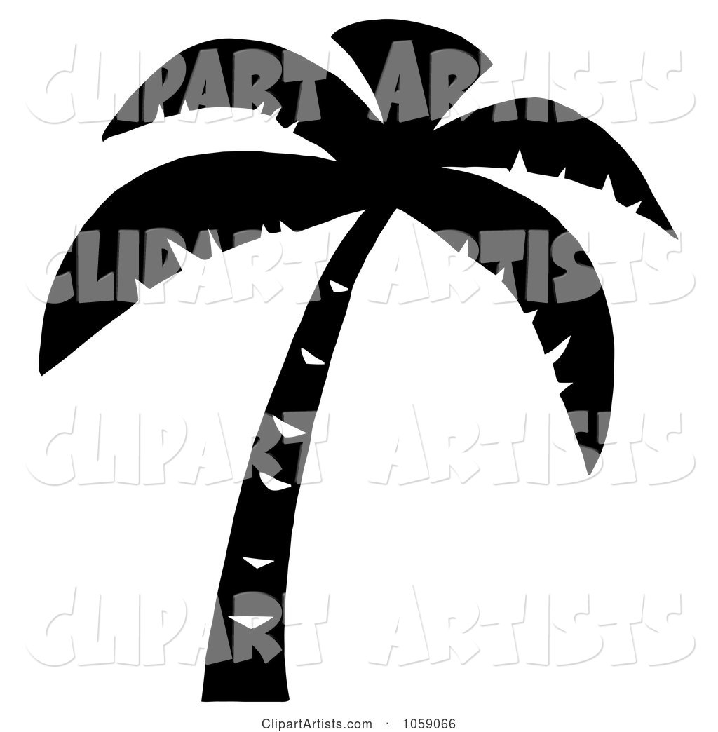 Palm Tree Silhouette in Black and White