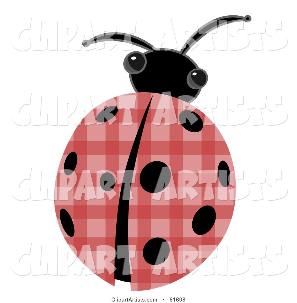 Patchwork Ladybug with Black Spots