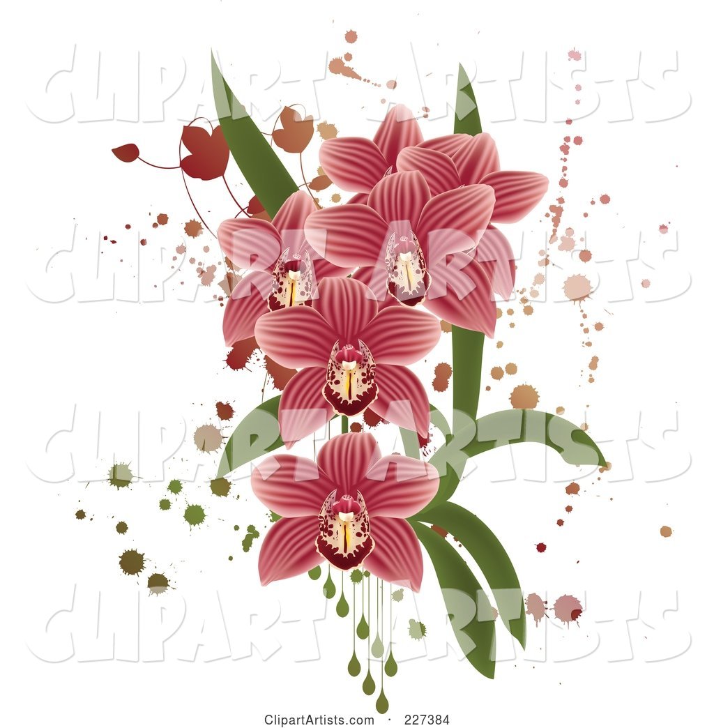 Pink Striped Orchids with Grunge Splatters, Leaves and Drops