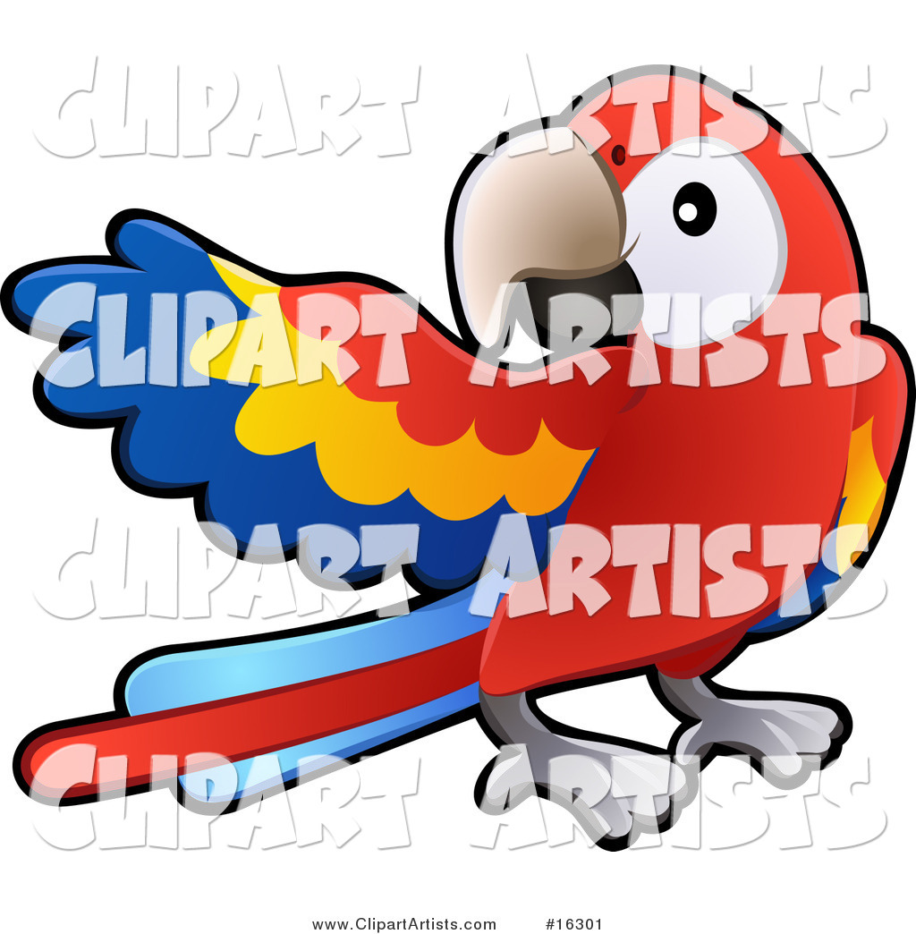 Red, Yellow and Blue Scarlet Macaw Parrot Bird (Ara Macao) with a White Circle Around Its Eye