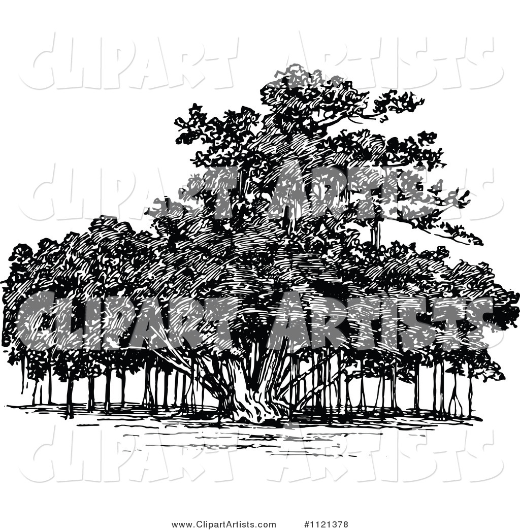 Retro Vintage Black and White Banyan Tree