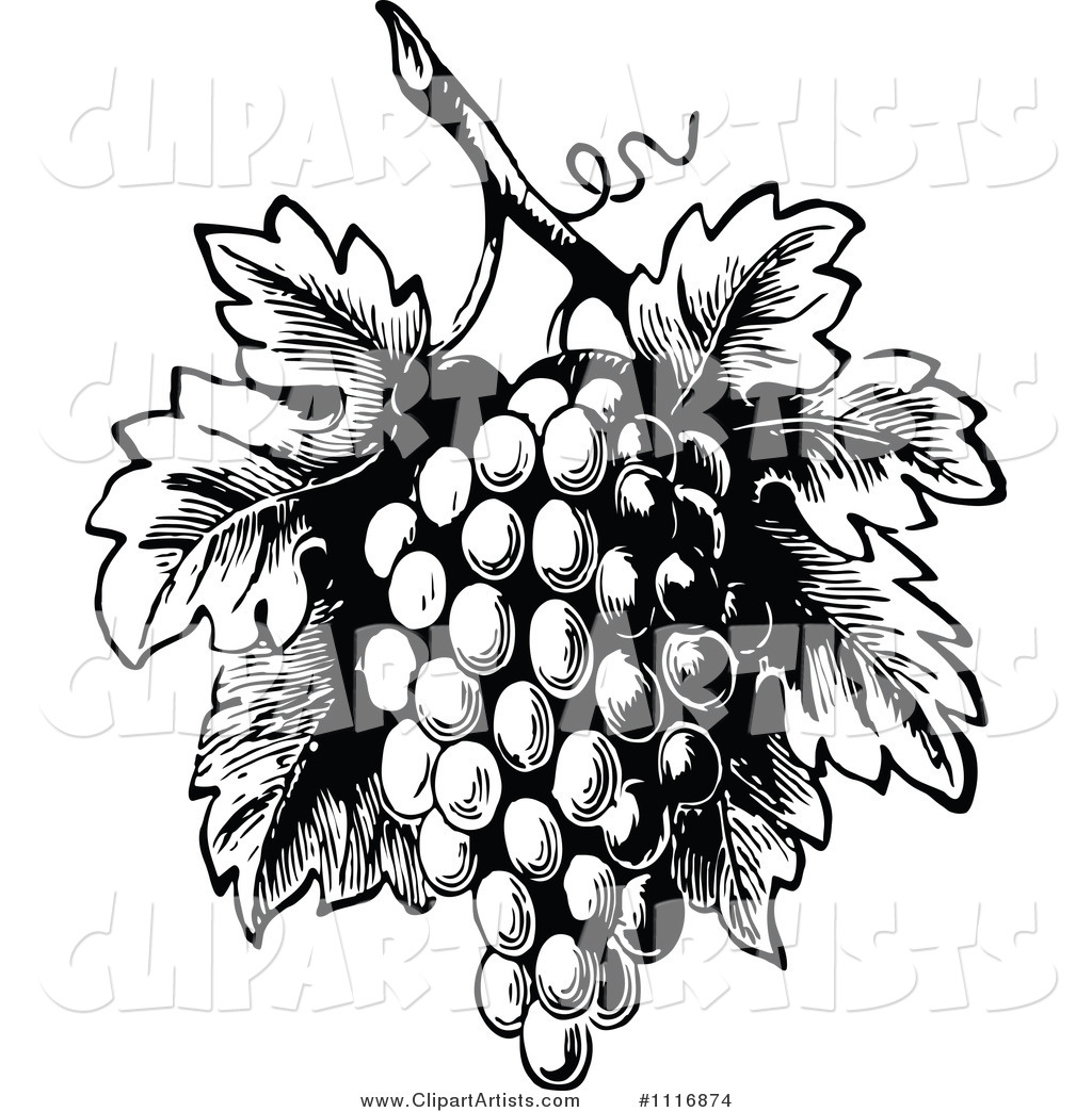 Retro Vintage Black and White Bunch of Grapes with Leaves 1