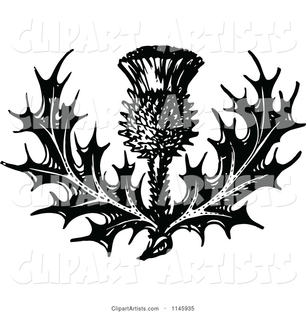 Retro Vintage Black and White Thistle Flower