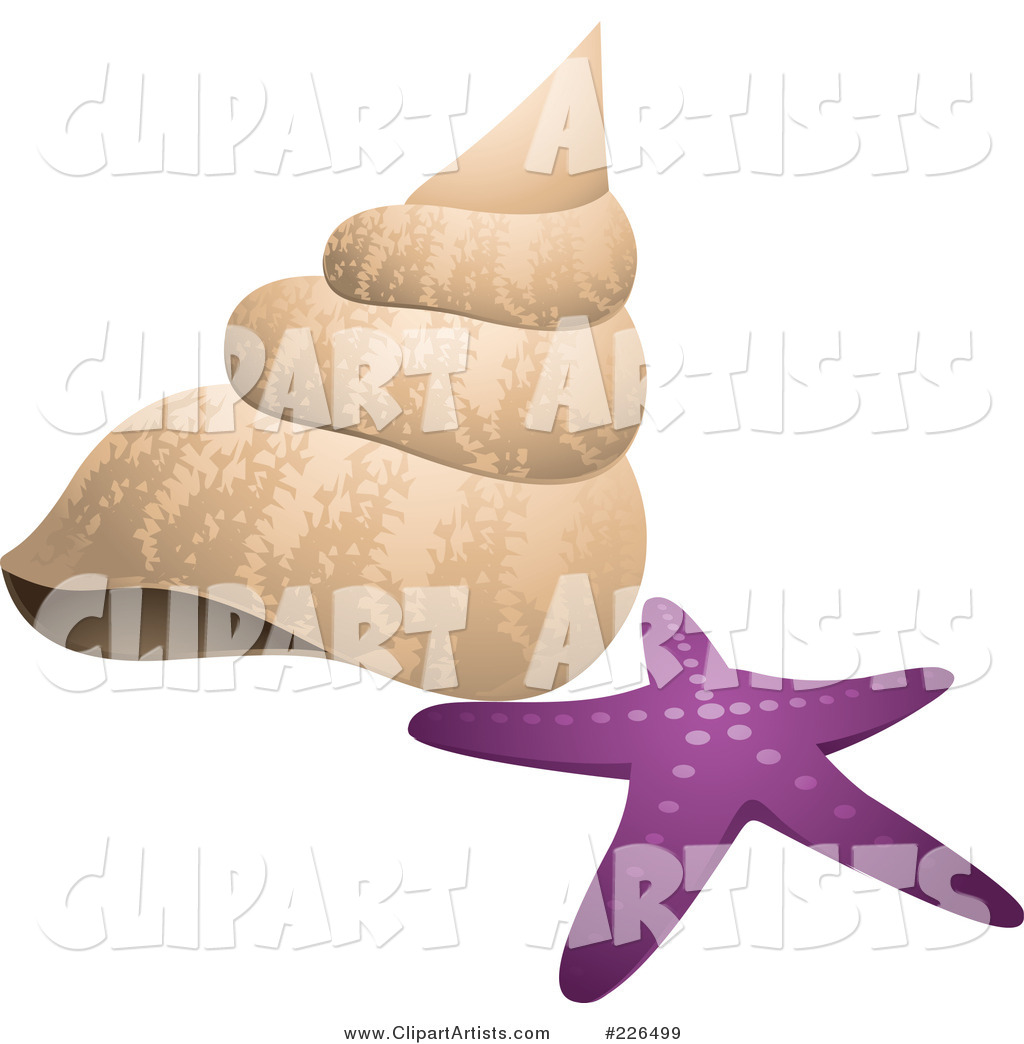 Sea Shell and Purple Star Fish