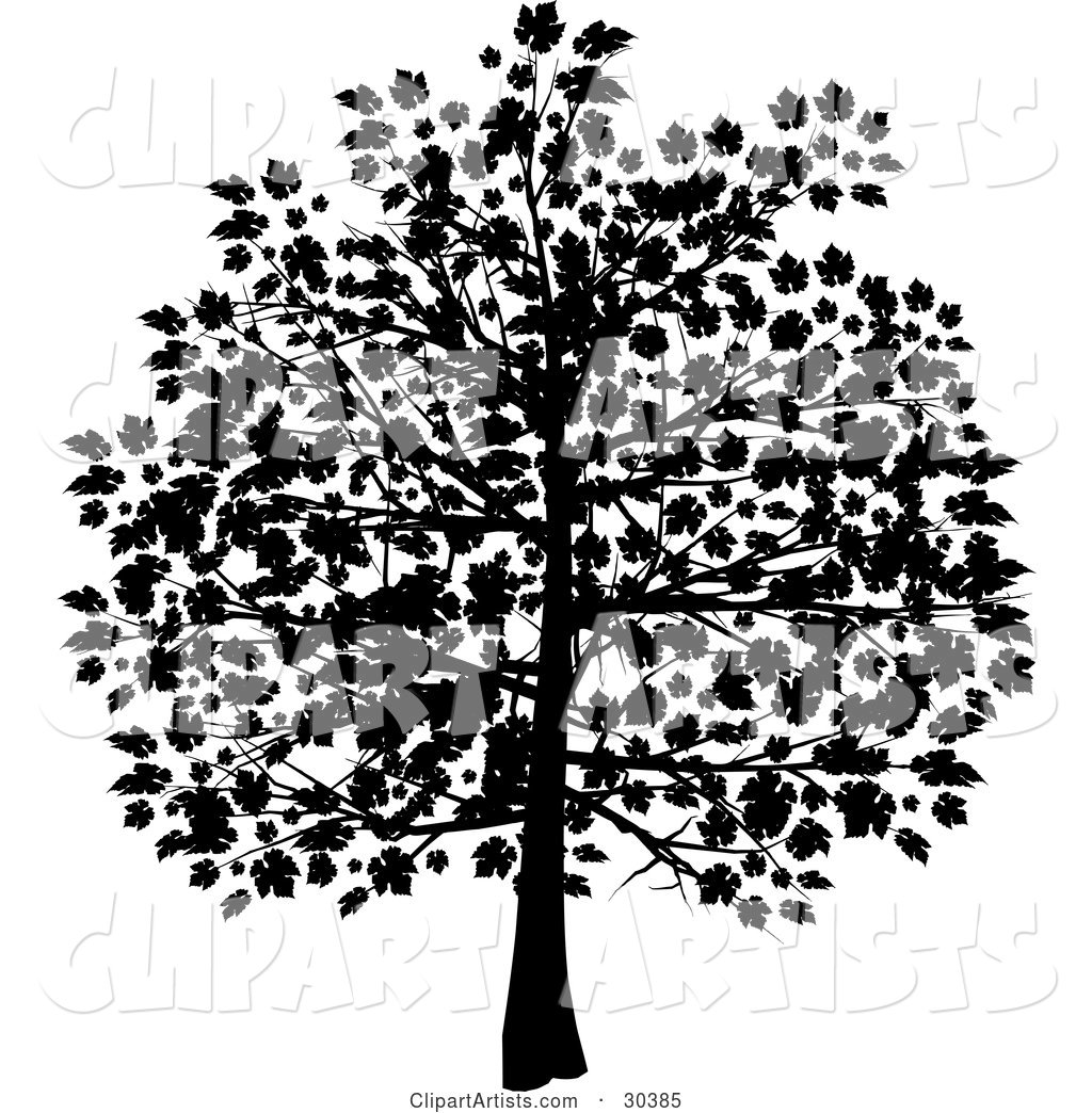 Silhouetted Tree in Black, with Leaves Covering the Branches