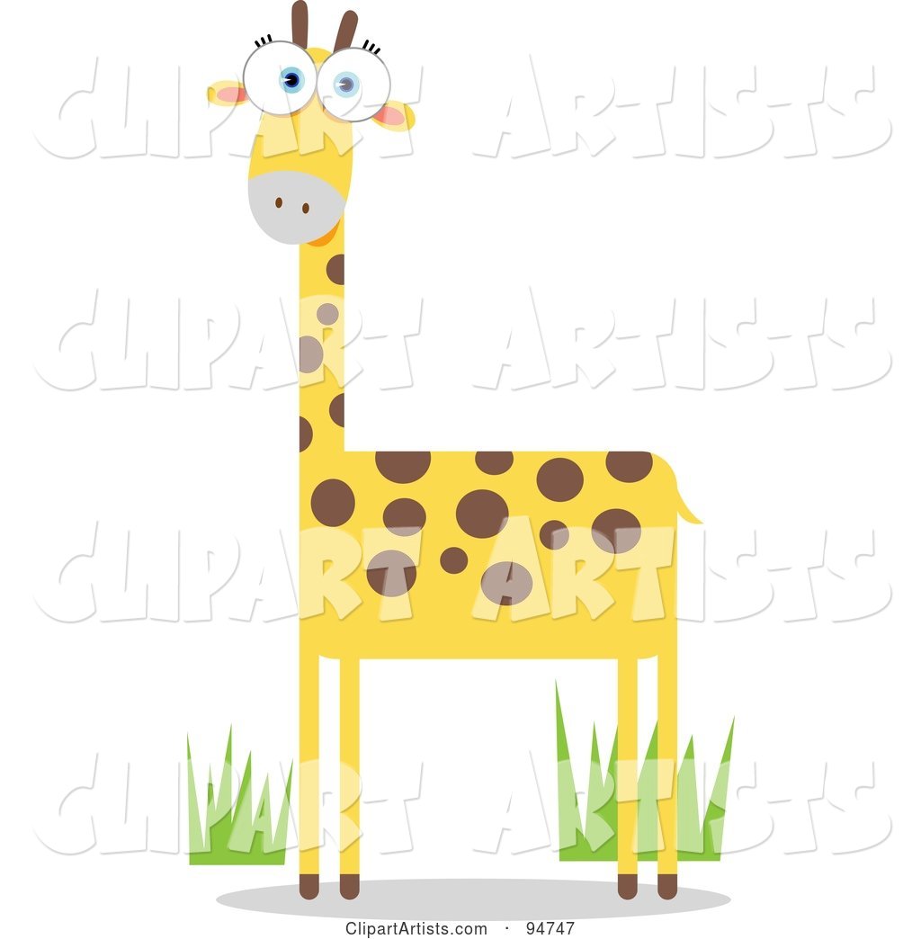 Square Bodied Wild Giraffe