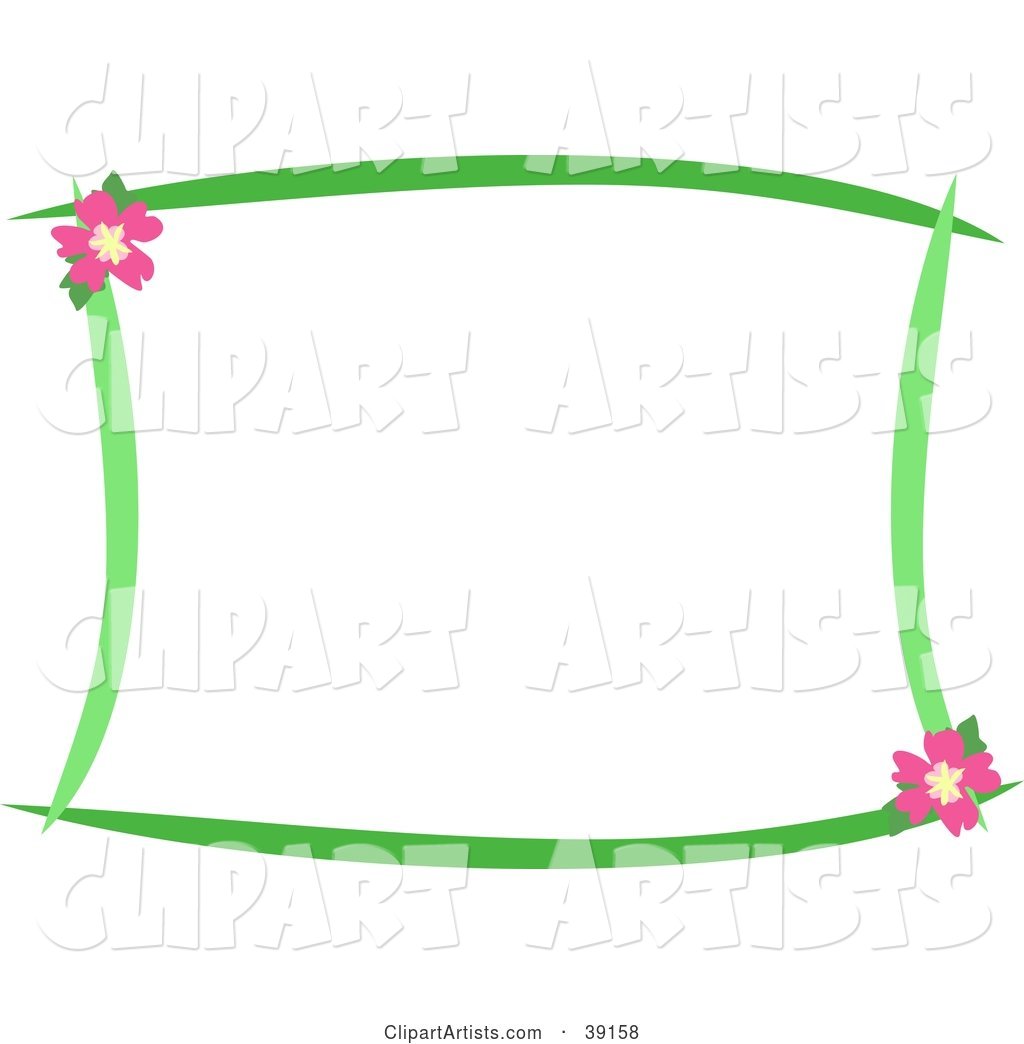 Stationery Border of Green Lines and Pink Hibiscus Flowers
