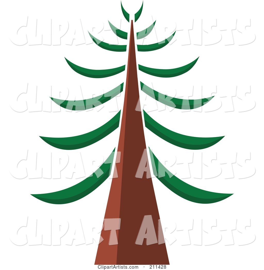 Tall Redwood Tree