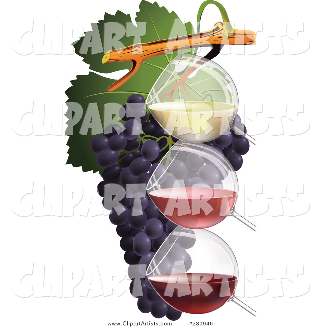 Three Glasses of Wine with Grapes - 1
