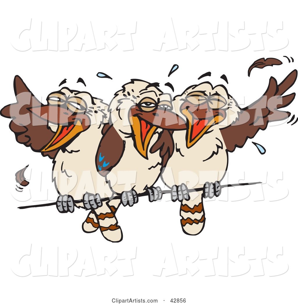 Three Kookaburra Birds Laughing on a Wire