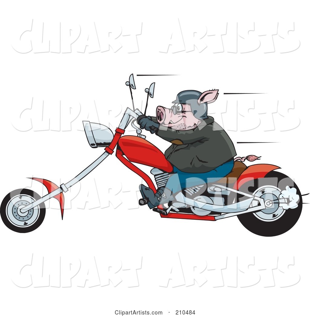 Tough Hog Riding a Red Chopper Motorcycle and Speeding past