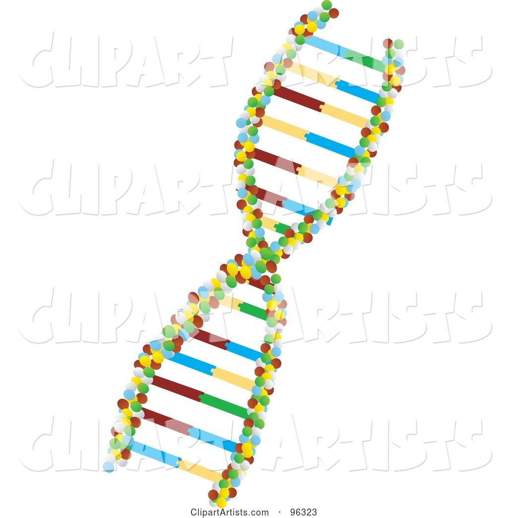 Twist of Colorful DNA