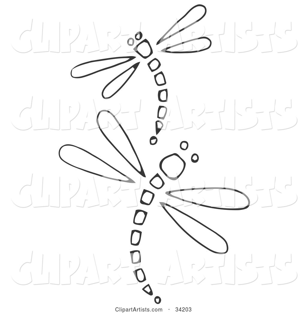 Two Black and White Dragonflies with Sectioned Bodies, Curving in Opposite Directions