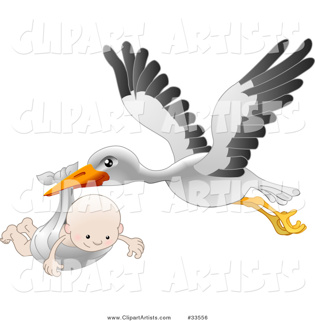 White Stork with Black Tipped Wings, Flying with a Happy Baby in a Cloth
