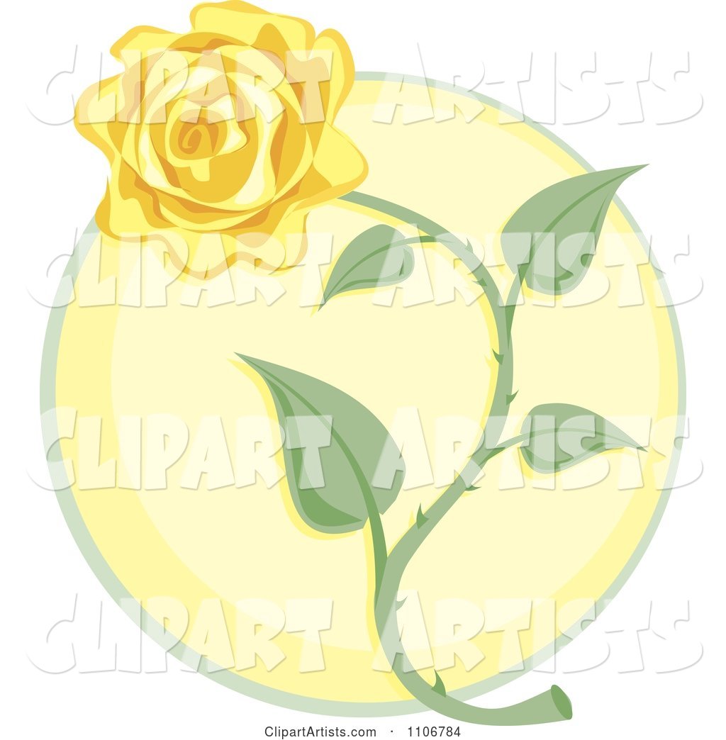 Yellow Rose over a Circle