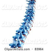 Blue Human Spine