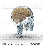 Brain in a Glass Skull - 2