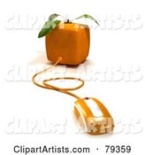 Cubic Genetically Modified Orange Fruit with a Computer Mouse