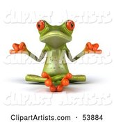Cute Green Tree Frog Meditating - Pose 1