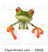 Cute Green Tree Frog Pointing down at a Blank Sign