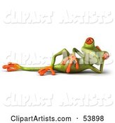 Cute Green Tree Frog Relaxed and Reclined