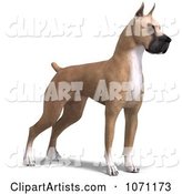 Fawn Great Dane Dog Standing