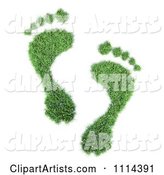 Green Footprints