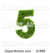 Green Grassy Number; 5
