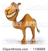 Happy Camel