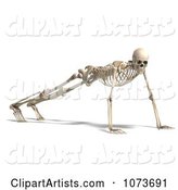 Human Male Skeleton Doing Push Ups