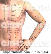 Male Acupressure Acupuncture Upper Body Chart 1