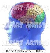 Rendered Transparent Blue Man with a Colorful Brain