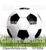 Soccer Ball on Grass 1
