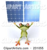 Springer Frog Holding a Solar Panel - 2