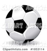 Glossy Soccer Ball