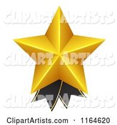 Gold Star and Black Ribbon Award